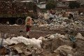 Foto da capa: Brasil