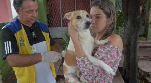 Centro e Zona Norte do Recife recebem postos fixos de vacinação antirrábica; saiba os locais