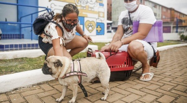 O Hospital Veterin&aacute;rio do Recife fica situado &agrave; Av. Professor Estev&atilde;o F. da Costa, S/N, no Cordeiro