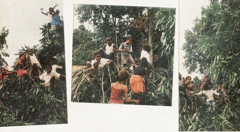 Arte que ilustra a capa do single 'Ingazeiro', da banda Torre, uma referência a memórias de infância