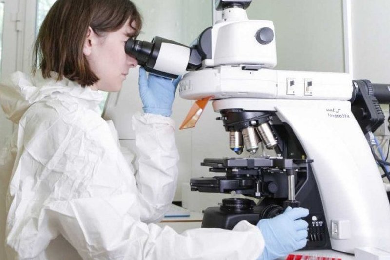 Ciência e curiosidade: cultivar a curiosidade é preparar o terreno para a criatividade a inovação e o empreendedorismo