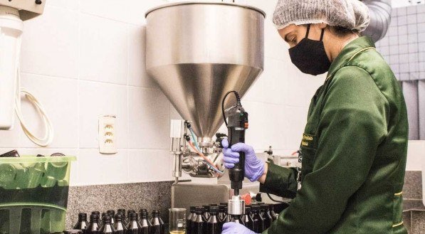 Canabidiol será testado contra 'covid longa'