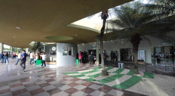 A veterin&aacute;ria teve sua morte confirmada nesta quarta-feira (3) pelo Hospital Real Portugu&ecirc;s, onde esteve internada durante 13 dias