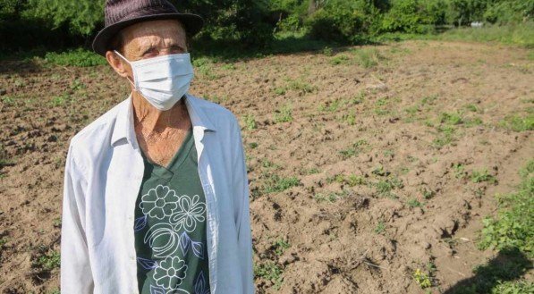 DIFICULDADES A agricultora Am&eacute;lia Maria dos Santos, moradora de Afogados da Ingazeira, perdeu toda a planta&ccedil;&atilde;o por causa da estiagem. Agora, reza pela chegada da chuva