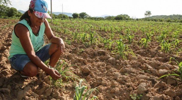 SECA | Maria aparecida, agricultora, 52 anos