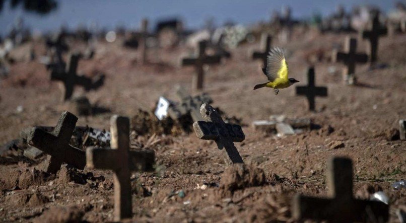 Neste s&aacute;bado (20), o Brasil registrou 214 mortes pelo coronav&iacute;rus