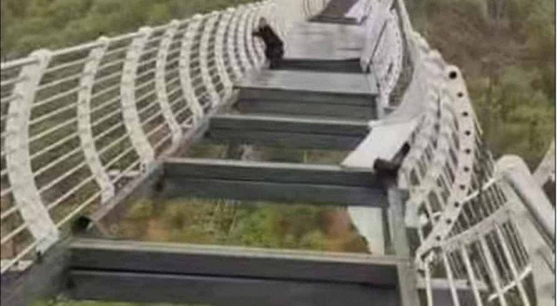 O turista pode ser visto agarrado &agrave; ponte estilha&ccedil;ada com fundo de vidro em Longjing
