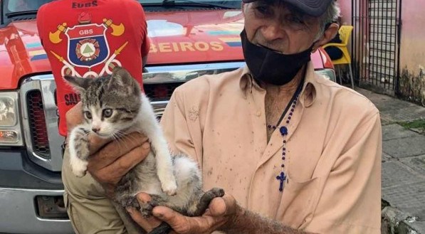 O gato foi entregue ao idoso que solicitou o resgate