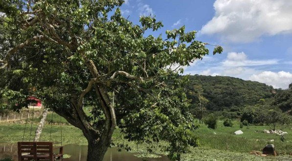 Um dia na Ecovila Vraja Dhama, o centro Hare Krishna de Caruaru