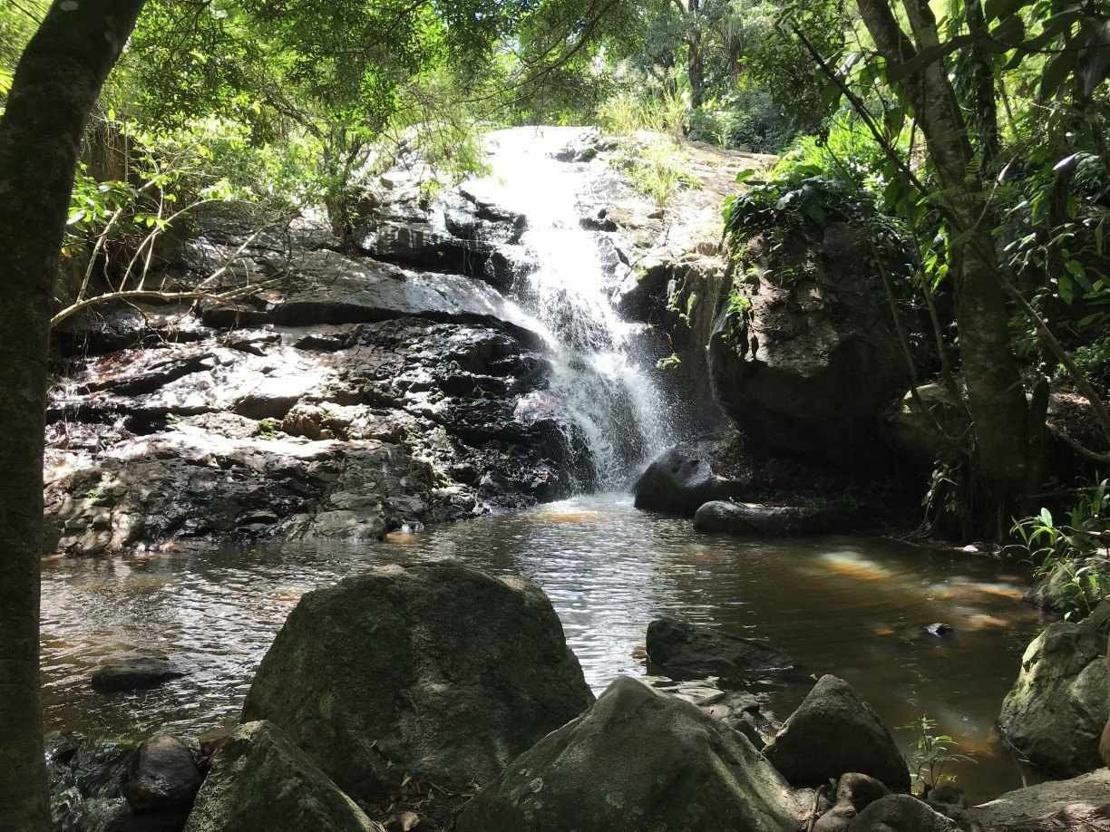 Hare Krishna - Eco Vila em Serra dos Cavalos 