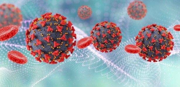 Alerta sobre fungo preto; chegada de vacinas da Pfizer ...