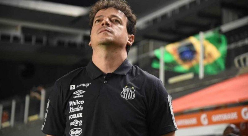 Treinador assumiu o Santos h&aacute; seis rodadas