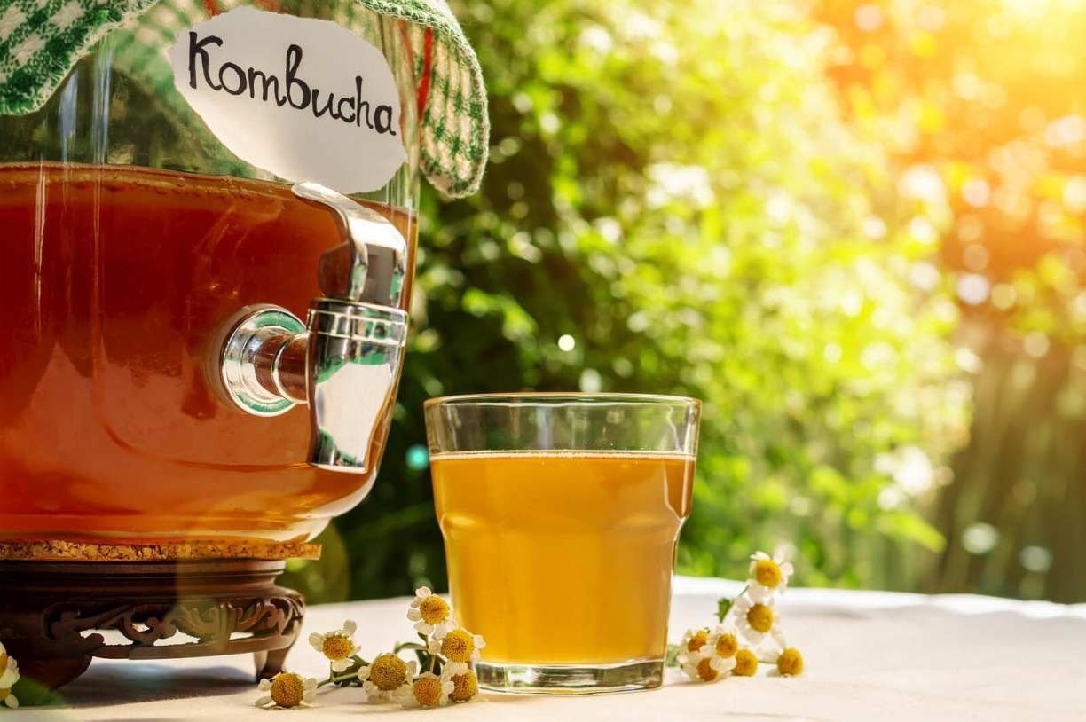 Kombucha diminui glicose: Estudo revela que bebida ajuda a reduzir glicose no sangue