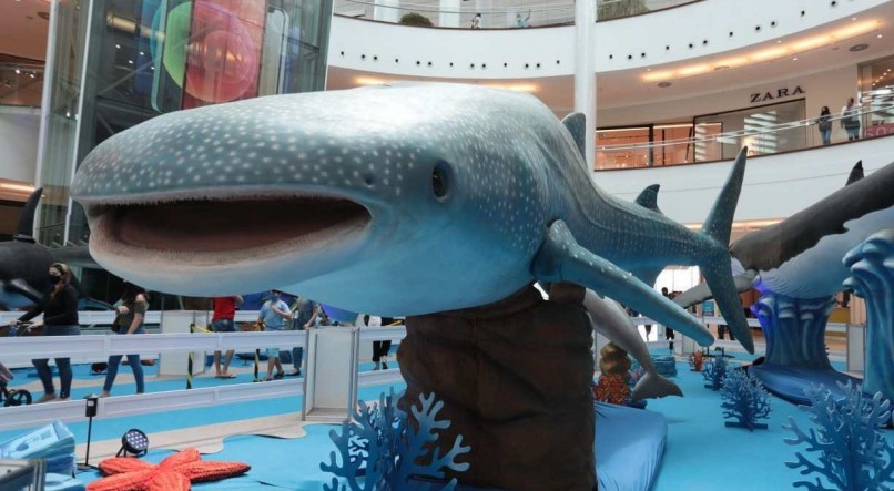 São sete esculturas que incluem golfinho, orca, tubarão baleia, um polvo gigante, entre outros bichos