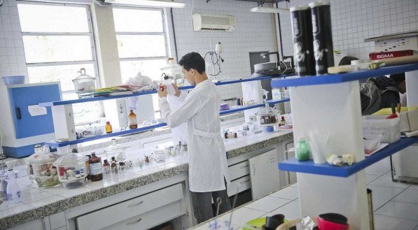 Empresas devem enviar os questionários do IBGE até o dia 17 de dezembro. Quem não enviar, pode ficar sem certificado exigido para participar de licitações