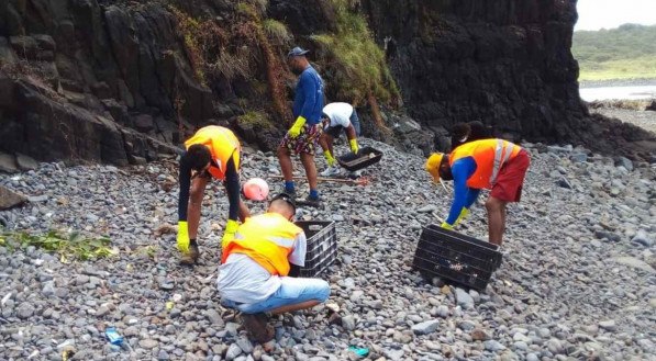 MUTIR&Atilde;O Cerca de 50 pessoas participaram da a&ccedil;&atilde;o para retirada de lixo e piche das praias de Noronha
