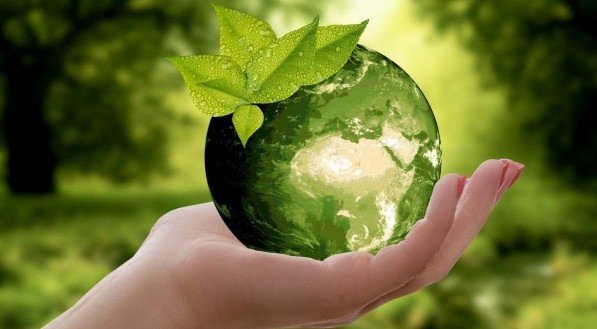 A nossa economia precisa estar dentro da capacidade de nosso planeta de se regenerar