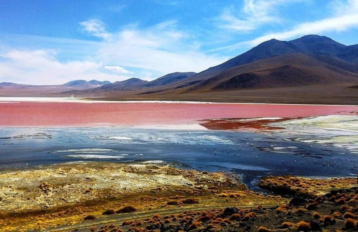 Bolívia abriga Reserva Nacional com águas vermelhas e riqueza de fauna e flora