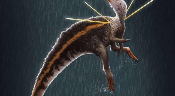 O Ubirajara jubatus se tornou o dinossauro mais antigo da Bacia do Araripe