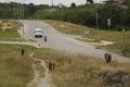 Foto da capa: Mobilidade