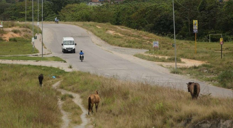 Ramal da Copa, agora chamado de Ramal da Arena pela gest&atilde;o da governadora Raquel Lyra, ter&aacute; tr&aacute;fego proibido para caminh&otilde;es a partir desta semana
