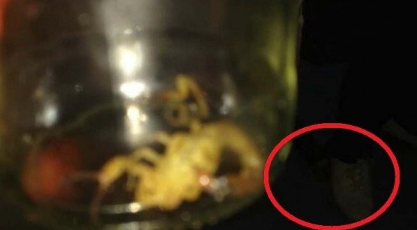Pé misterioso aparece em foto e assusta família em Olinda, Grande Recife