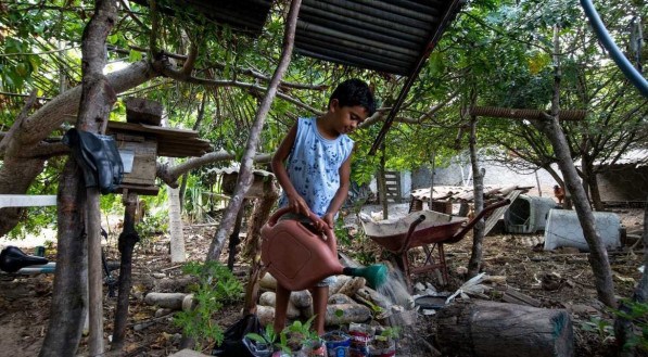 ROTINA Menino, que vive numa &aacute;rea de zona rural, tem forte rela&ccedil;&atilde;o com o plantio e a natureza. Para ele, passar um tempo cuidando da terra, todos os dias, &eacute; motivo de alegria
