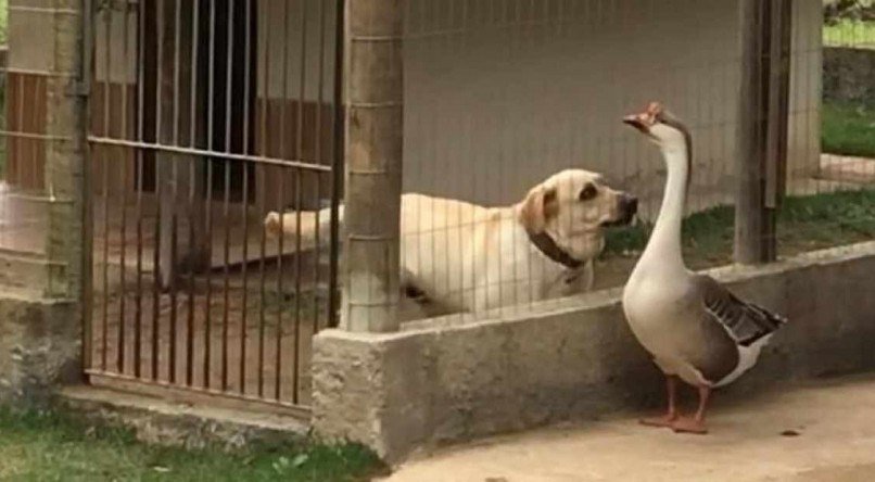 Arquivo pessoal