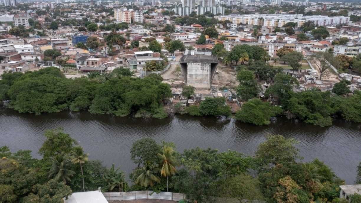 divulgação PCR