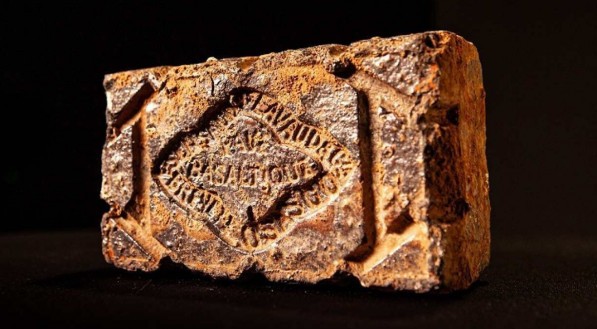 O exemplar encontrado no Butantan tem inscri&ccedil;&otilde;es de Osasco, munic&iacute;pio da regi&atilde;o metropolitana de S&atilde;o Paulo, mais especificamente da fam&iacute;lia Lavaud