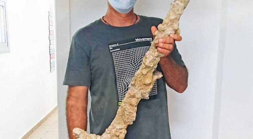 Nir Disteleld/Israel Antiquities Authority