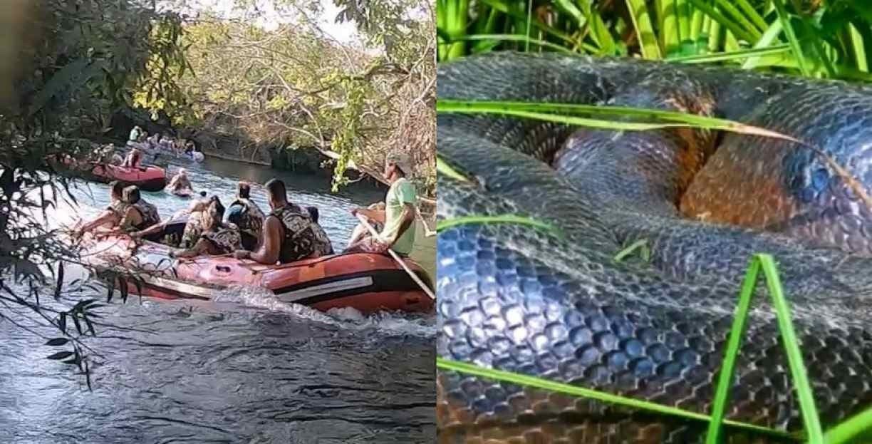 Cafofo' das sucuris: jovem descobre toca de serpente gigante em MS