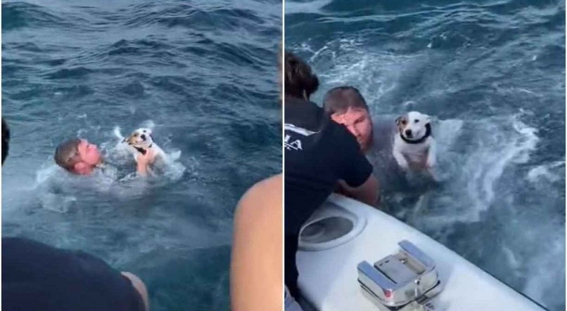 Cachorro sendo resgatado no meio do oceano