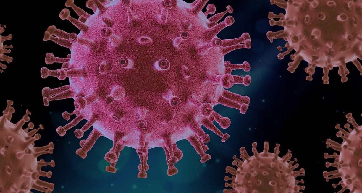 VARÍOLA DO MACACO: Infectados com varíola do macaco podem ficar 10 semanas doentes. Como se transmite e quais os sintomas da varíola do macaco?