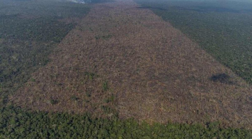 
Os alertas de desmatamento em outubro se concentraram nos estados do Par&aacute; 474km&sup2; (59,5% do total), Mato Grosso 102km&sup2; (13% do total) e Amazonas 90km&sup2; (11% do total) 