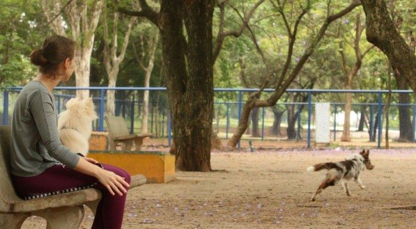 Prefeitura de São Paulo lança versão eletrônica de identidade para pets