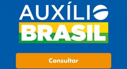 Saiba como acessar o aplicativo do Auxílio Brasil