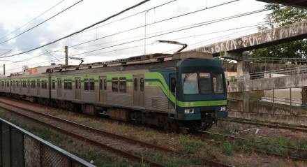 Ramal Camaragibe do Metrô do Recife tem operação retomada após suspensão por risco de queda de árvore