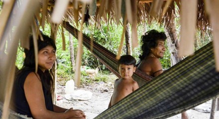Indígenas awá-guajás, do Maranhão