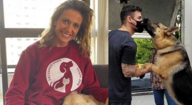 A ativista Luisa Mell e o seu instituto foram acusados de n&atilde;o devolverem um cachorro resgatado