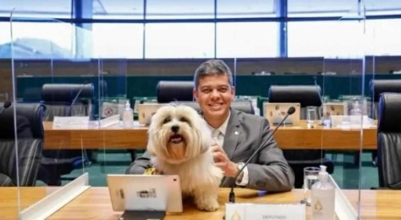 Deputado distrital Daniel Donizet leva seu cachorro Beethoven para o CLDF