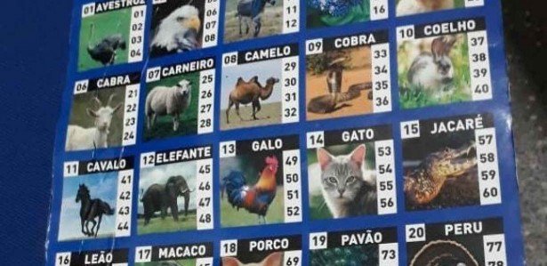 Como o jogo do bicho se tornou a maior loteria ilegal do mundo - BBC News  Brasil