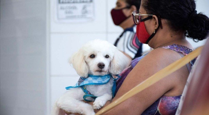 Hospital Veterinário do Recife fica situado à Av. Professor Estevão F. da Costa, S/N, no Cordeiro