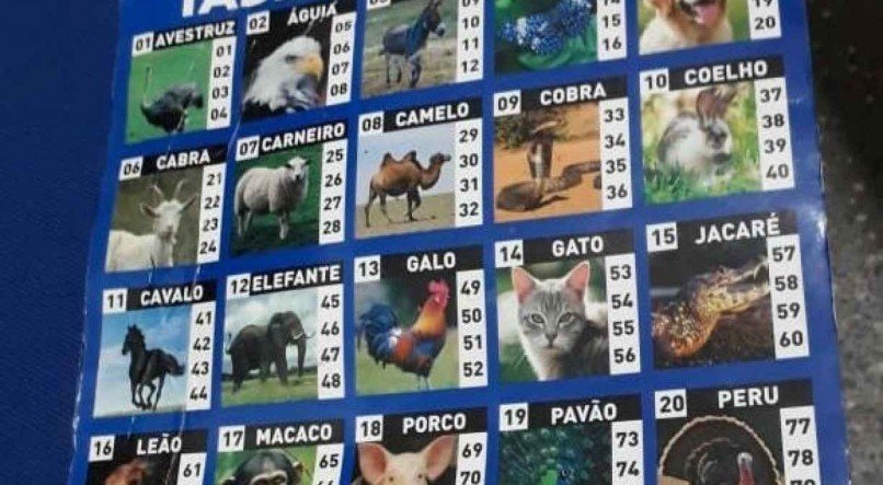 Como o jogo do bicho se tornou a maior loteria ilegal do mundo