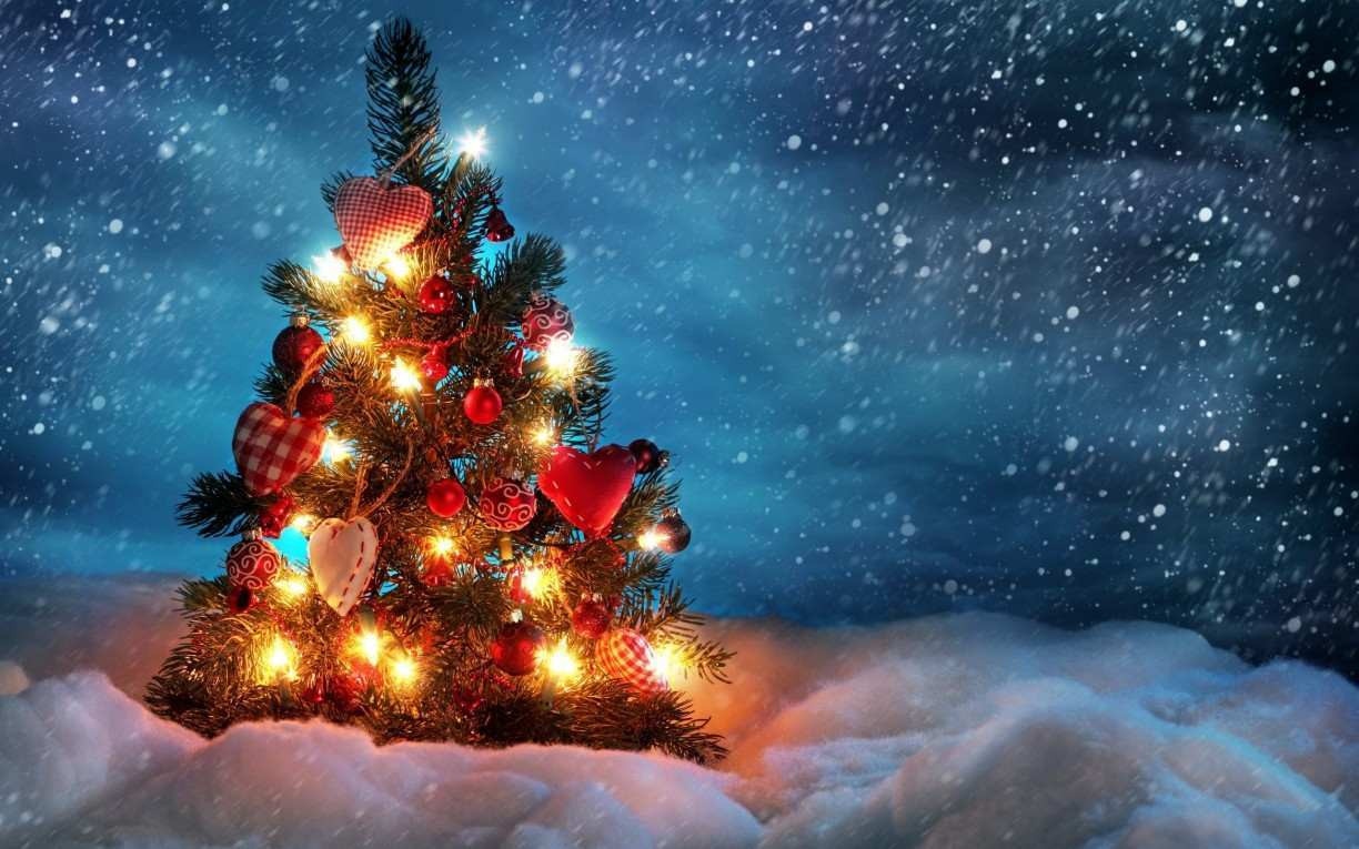 Quando se começou a comemorar o Natal? Qual é a verdadeira história do  Papai Noel? Saiba mais sobre esta festividade
