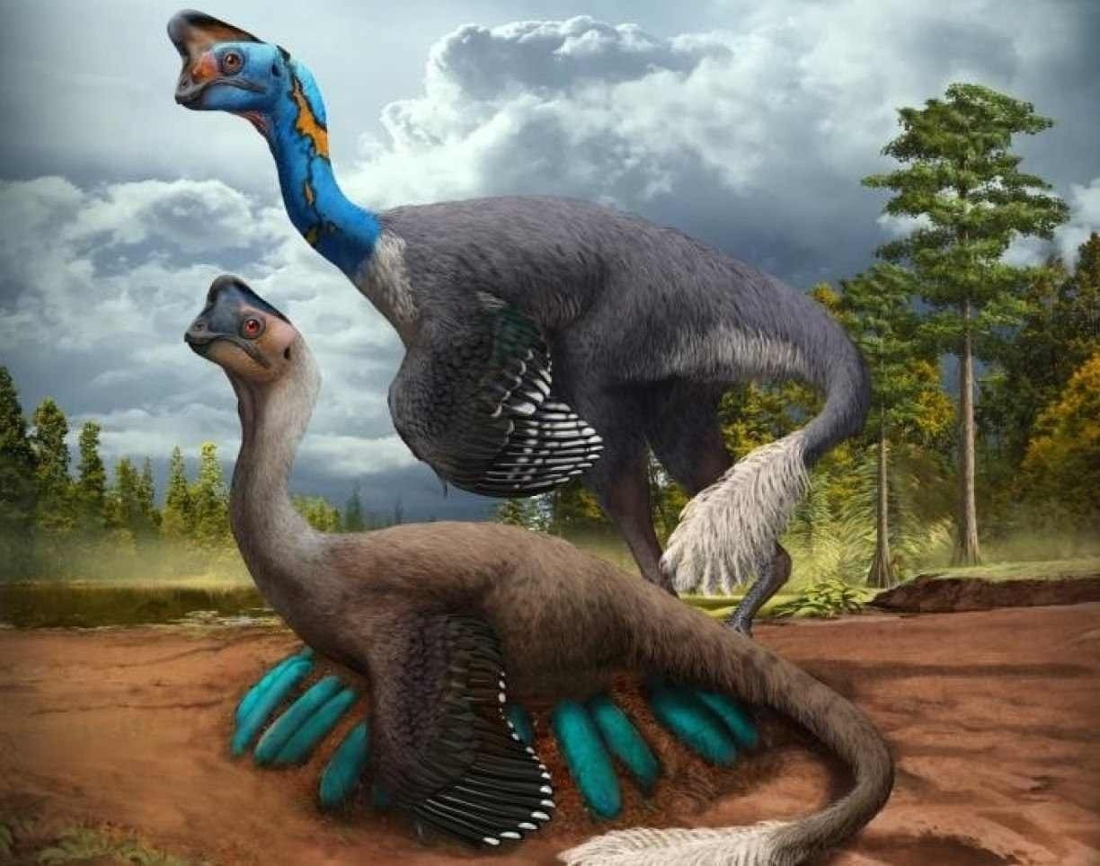 Ilustração do oviraptorossauro, espécie do embrião de dinossauro encontrado, com ninho de ovos 