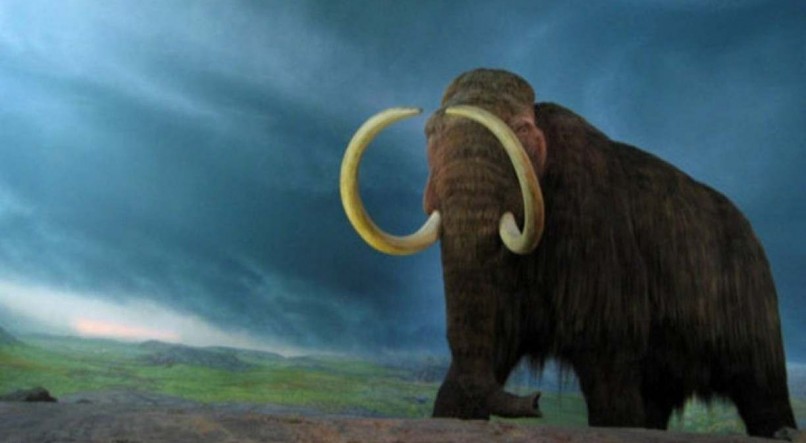 Fósseis de mamutes são encontrados por arqueólogos 