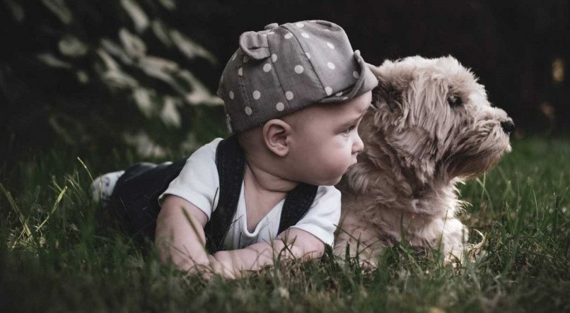 Cachorros e bebês podem ter uma ótima amizade desde que a adaptação seja feita com cuidado