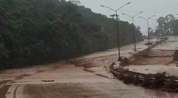 Vallourec evacua animais da área de inundação do Dique Lisa, em Nova Lima (MG)