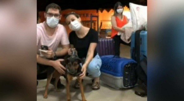 Casal adota cachorrinho de rua que andava 3 km todos os dias para buscar comida em lixão de São Paulo